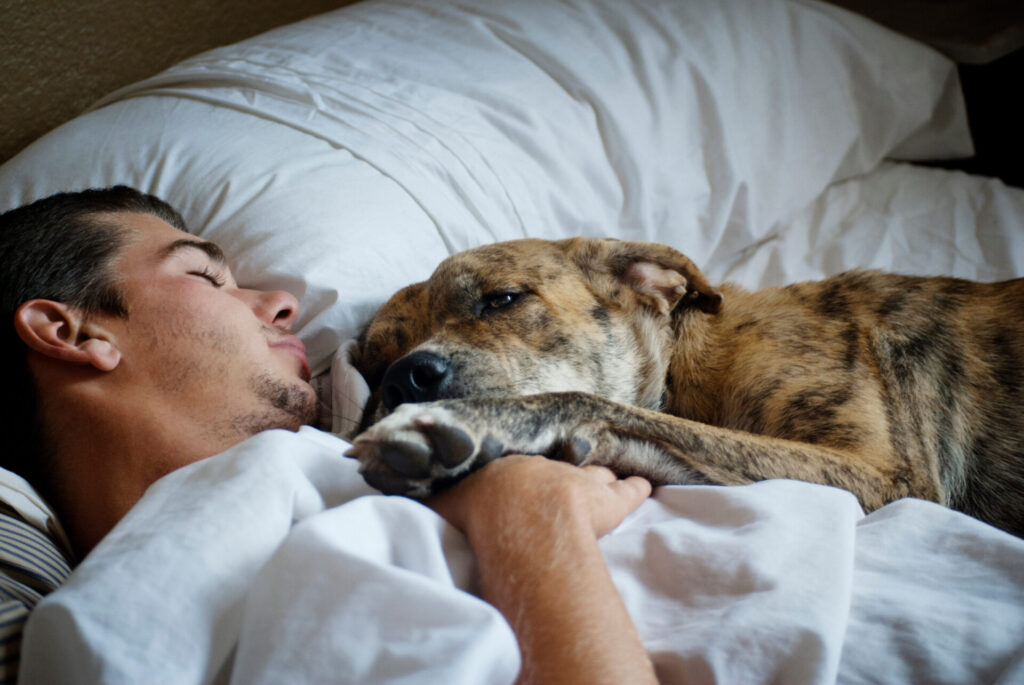 ベッドで犬と一緒に寝ている男性
