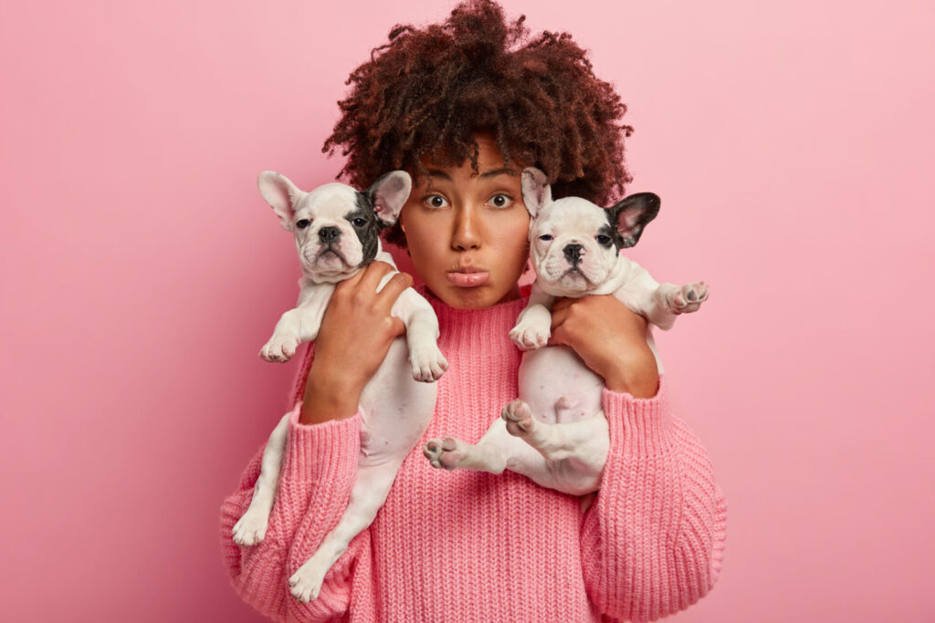 小型犬を連れた悲しい驚いたアフリカ系アメリカ人の女性が、獣医の訪問後に動揺し、健康上の問題を知り、特大のジャンパーを着て、ピンクの背景に孤立し、子犬と遊ぶ