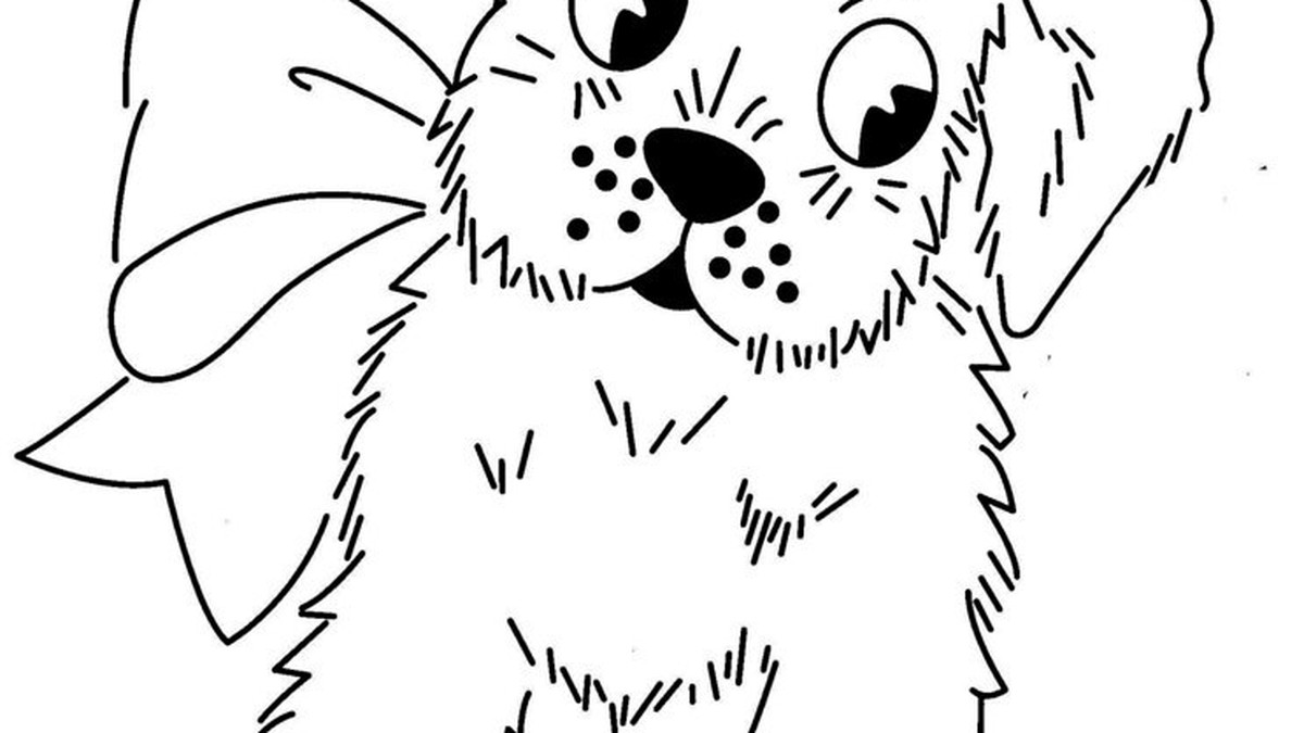 犬が人を噛んでしまったらのアイキャッチ画像