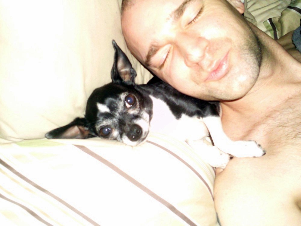 犬の睡眠とレム睡眠のイメージ