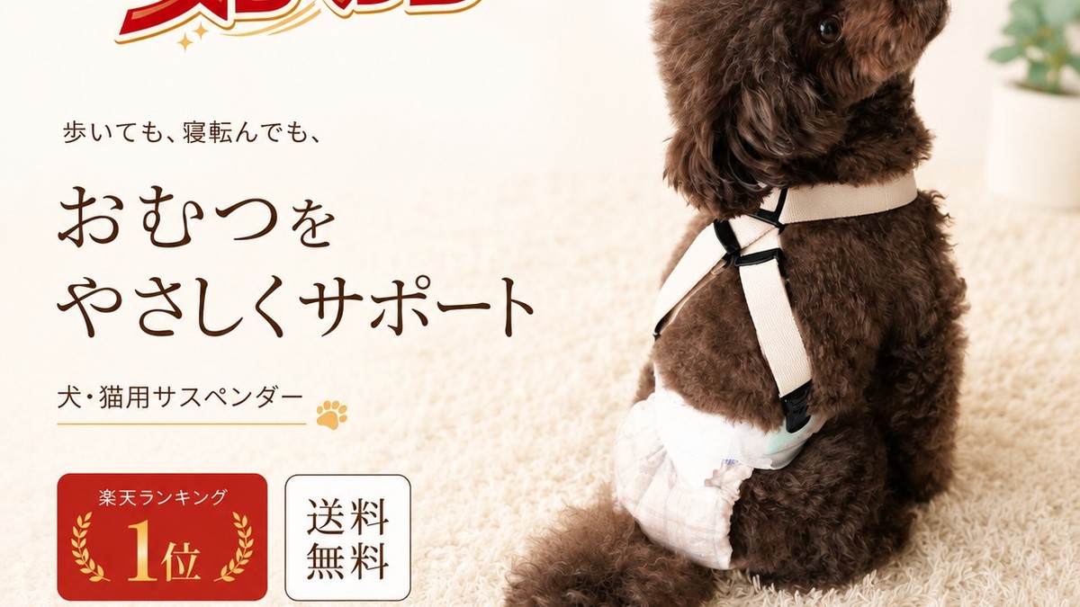犬用おむつサスペンダーの商品画像