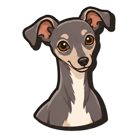 イタリアングレーハウンドのイラスト