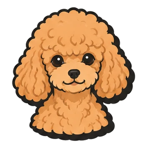プードルのイラスト
