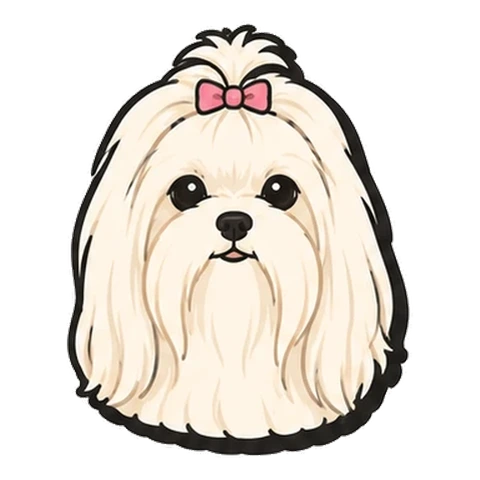 マルチーズのイラスト