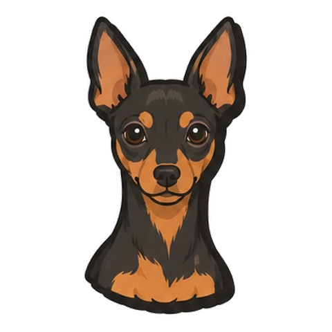 ミニチュアピンシャーのイラスト