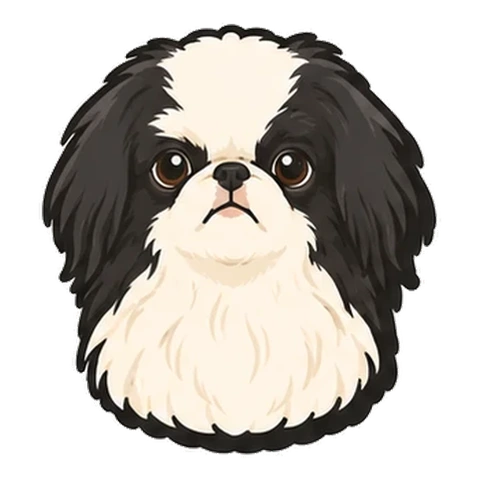 狆（チン）のイラスト