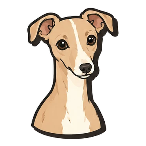 ウィペットのイラスト