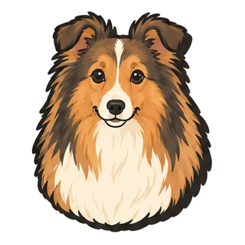 シェルティのイラスト
