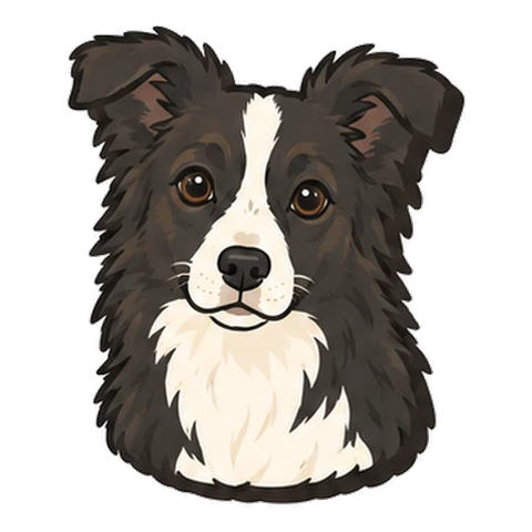 ボーダー・コリーのイラスト
