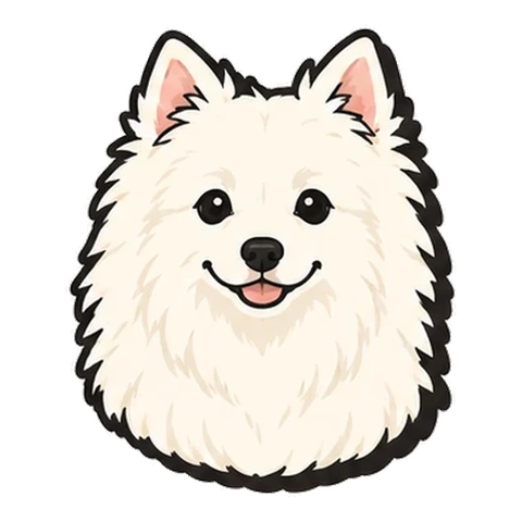 日本スピッツのイラスト