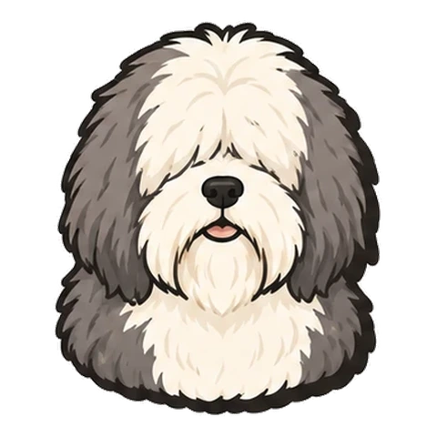 オールドイングリッシュシープドッグのイラスト