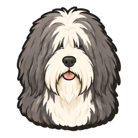 ビアデッドコリーのイラスト