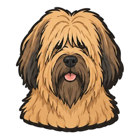 ブリアードのイラスト