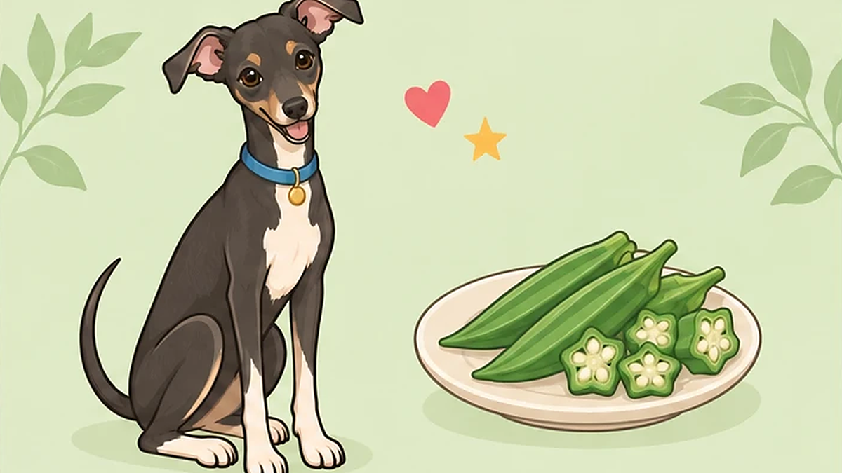 犬はオクラを食べても大丈夫？産毛・ヘタ・種の下ごしらえと量
