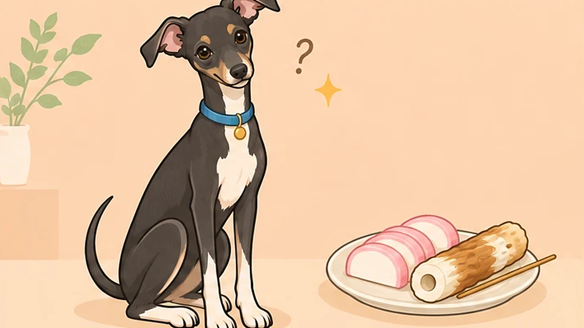 犬はちくわ・かまぼこを食べていい？塩分と添加物・串の注意点