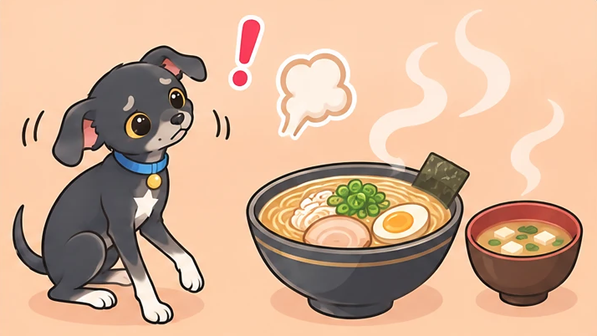 犬にラーメン・味噌汁はNG？スープの塩分とねぎ類の危険、食べた時の目安