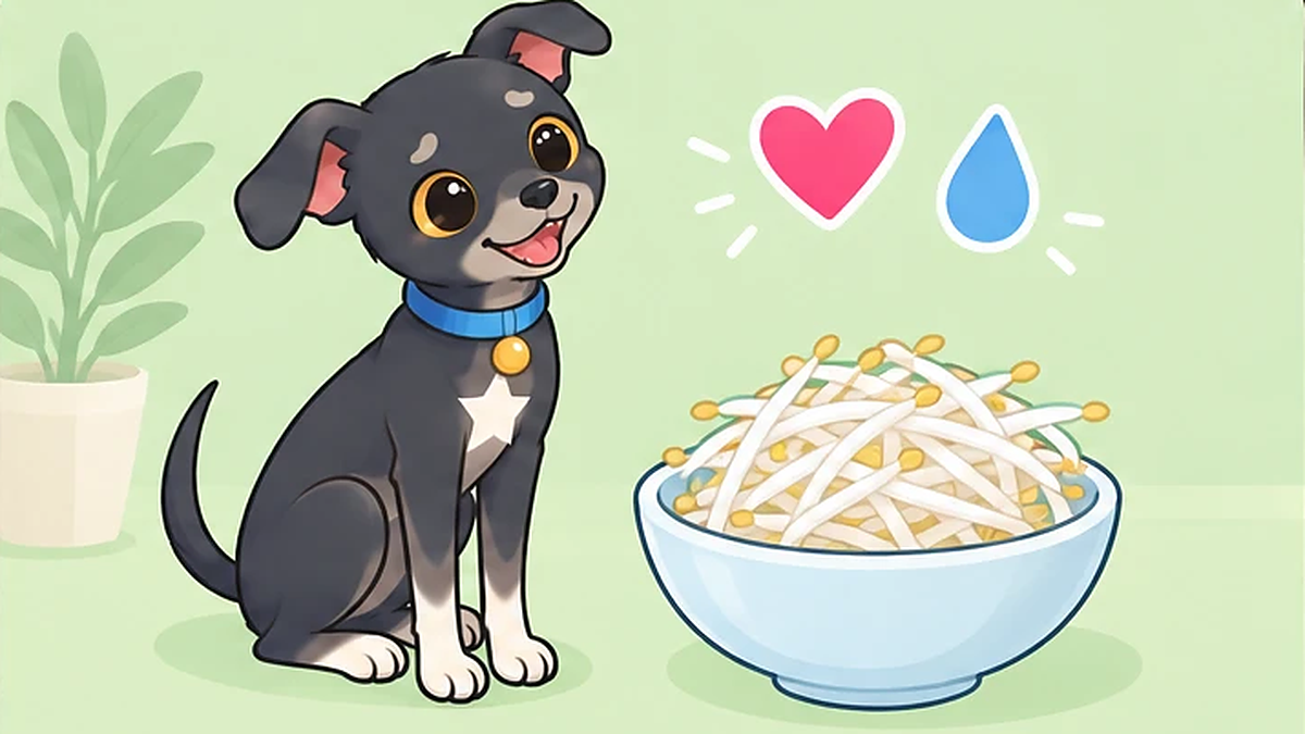 犬はもやしを食べても大丈夫?生か加熱か、鮮度と量の注意点