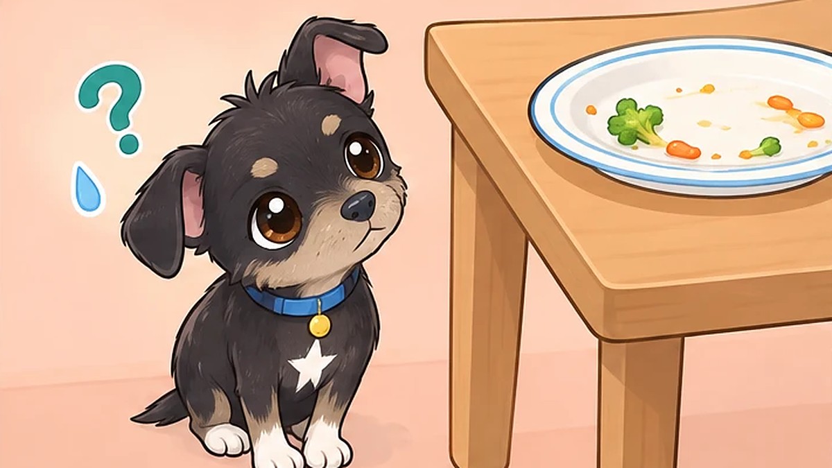 犬に人の食べ残しは与えていい?残飯のリスクと分けていい食べ物の考え方