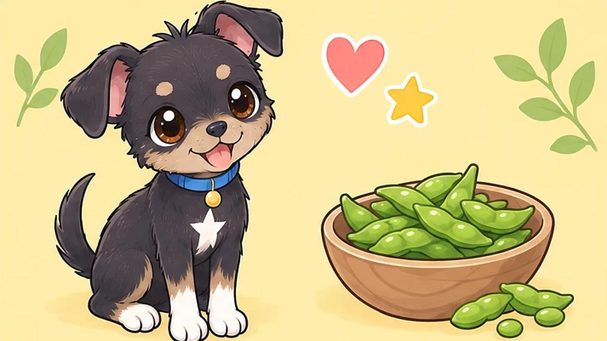 犬は枝豆・豆類を食べても大丈夫？さや・塩ゆで・生の豆の注意点