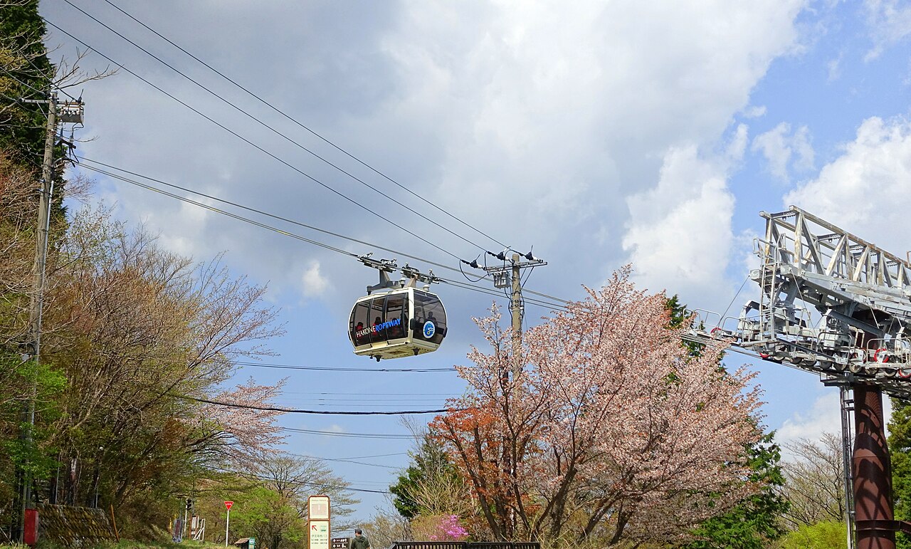 桜の木の上を進む箱根ロープウェイのゴンドラ