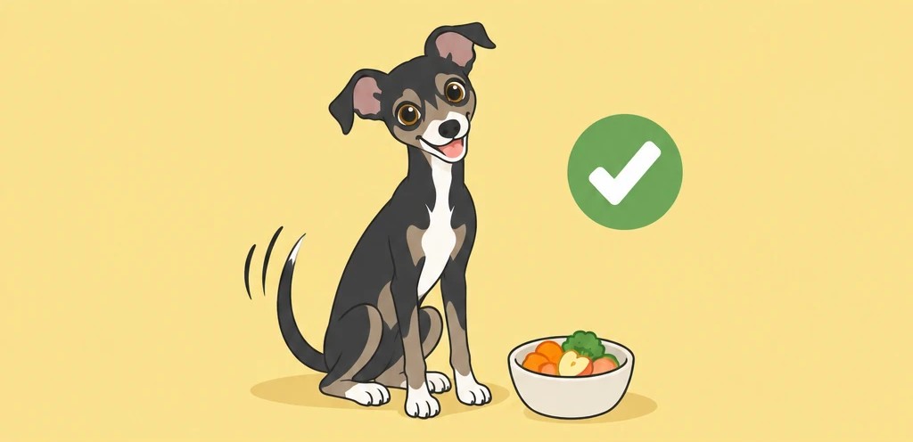 食べても大丈夫なごはんとルーク隊長のイラスト