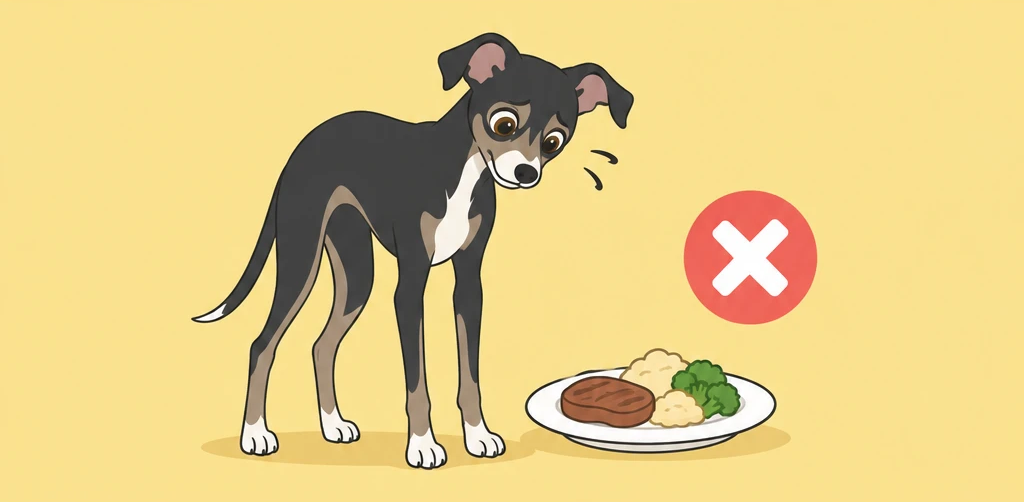 食べてはいけない食べ物に困るルーク隊長のイラスト